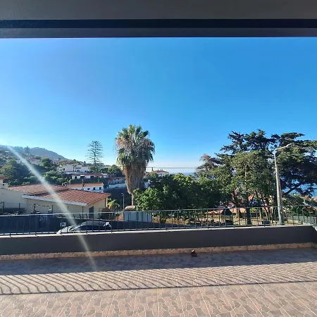 - New Botanic Garden Petit *