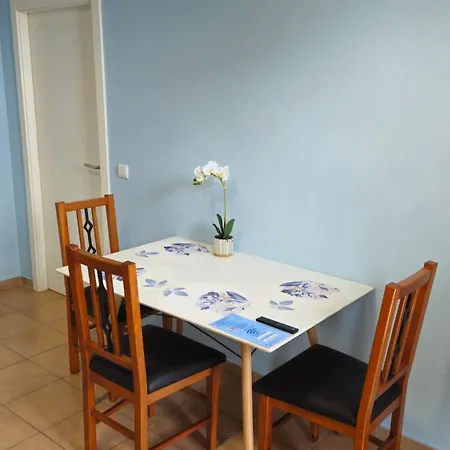 - New Botanic Garden Petit * Funchal (Madeira)