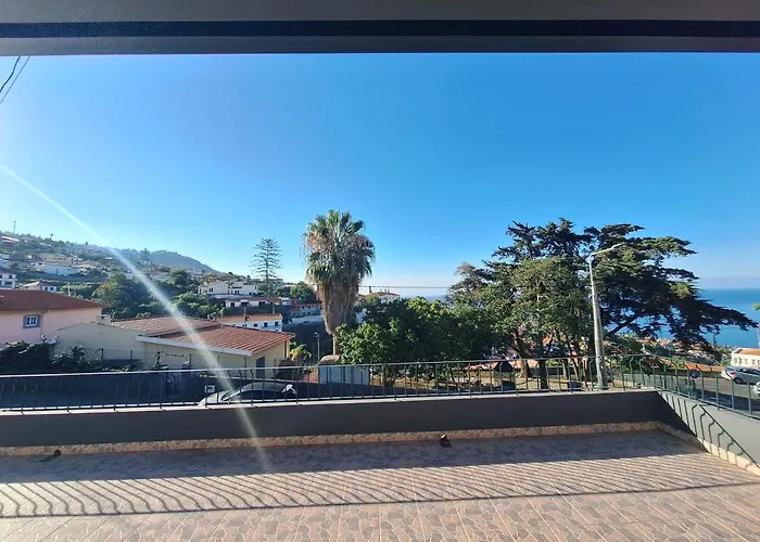 - New Botanic Garden Petit *