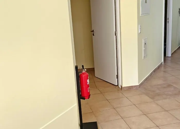 - New Botanic Garden Petit * Funchal (Madeira)