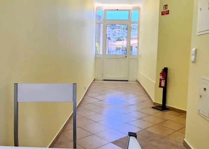 - New Botanic Garden Petit *