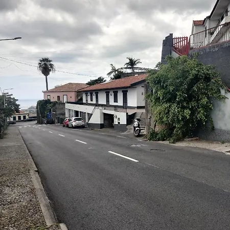 Appartement - New Botanic Garden Petit