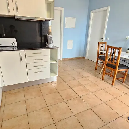 - New Botanic Garden Petit Funchal (Madeira)