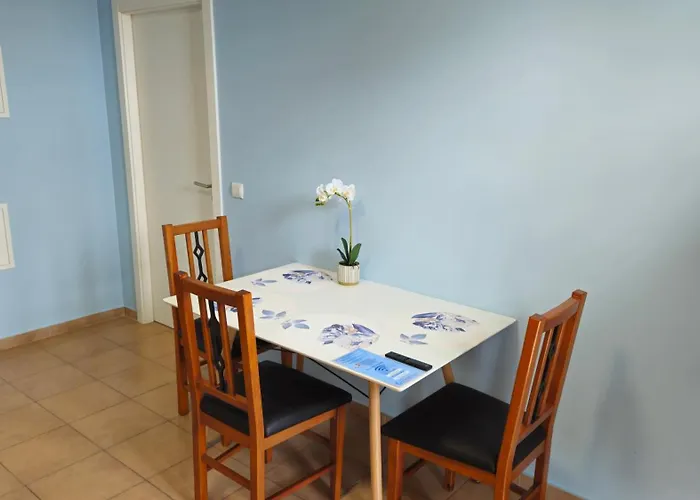 - New Botanic Garden Petit * Funchal